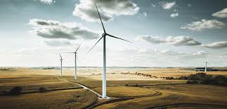 The future of renewable fuels in the energy mix (Analysis)